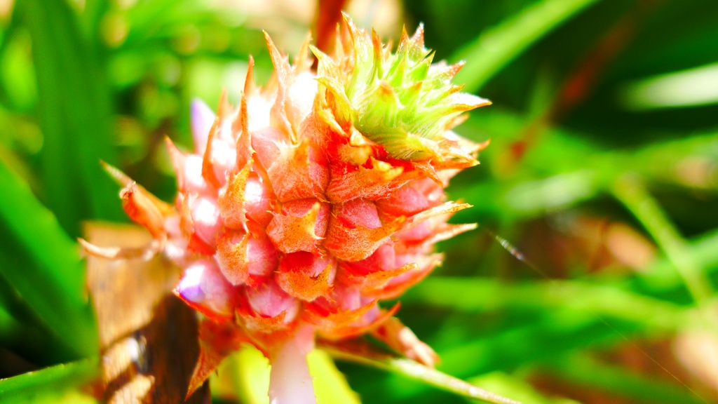 [308_Dija_Abreu.JPG]