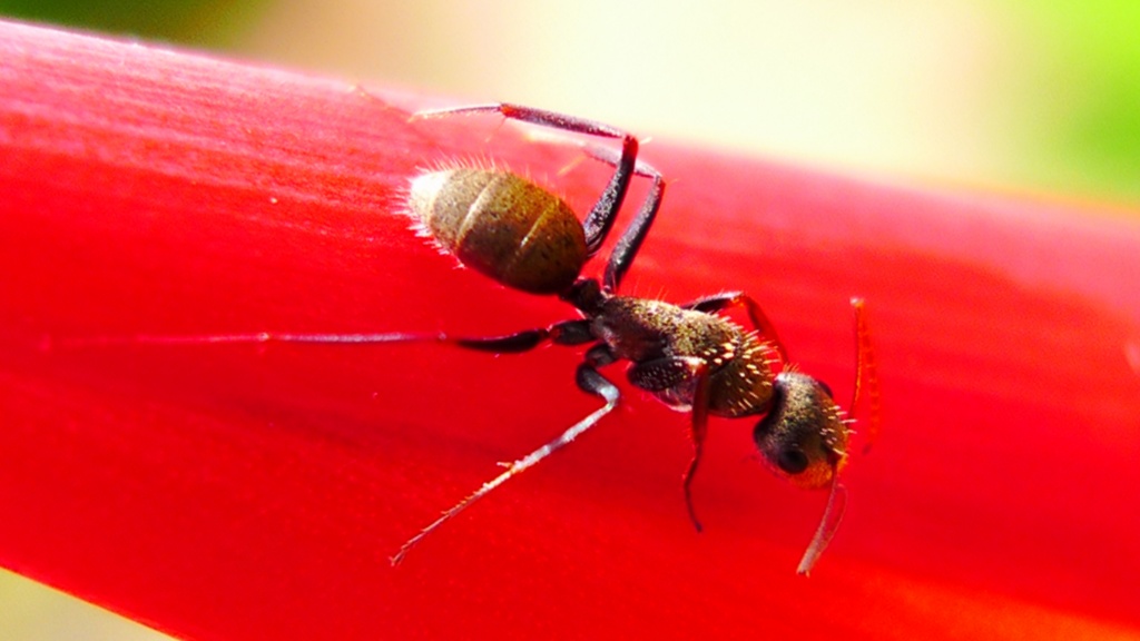 [311_Dija_Abreu.JPG]