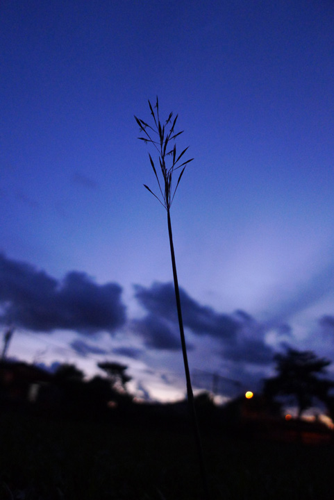 [337_Jeremy_Ming.JPG]