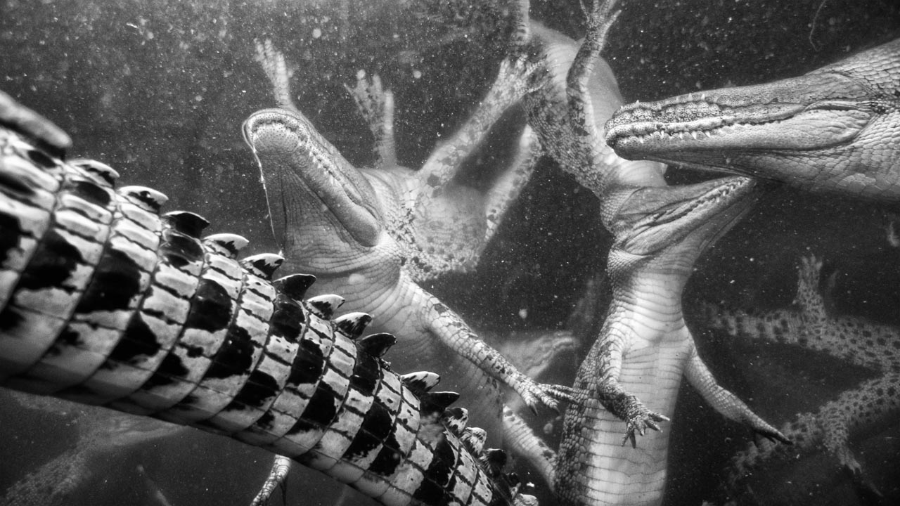 [289_Staton_Winter.jpg]