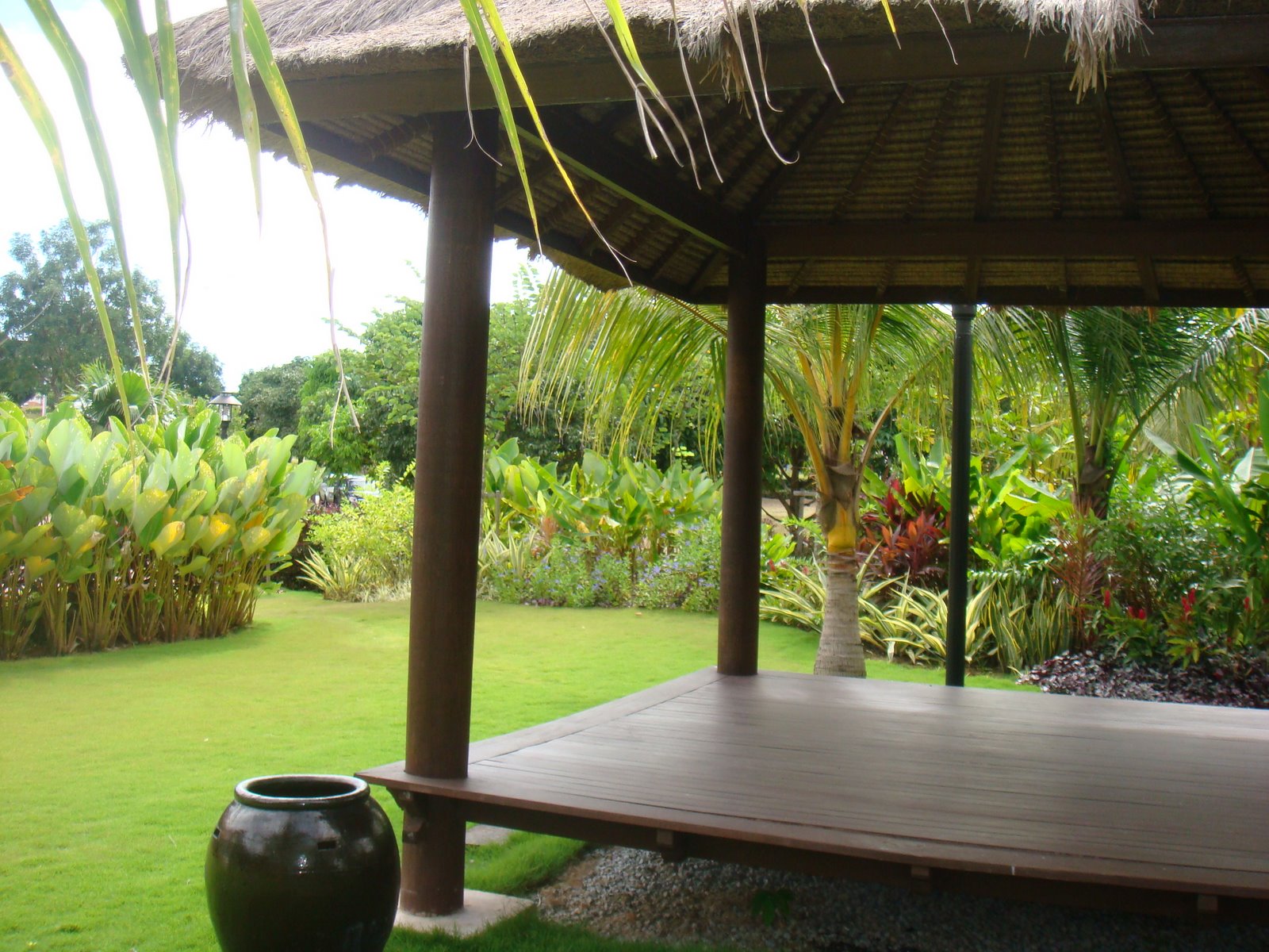 [DSC00619.JPG]