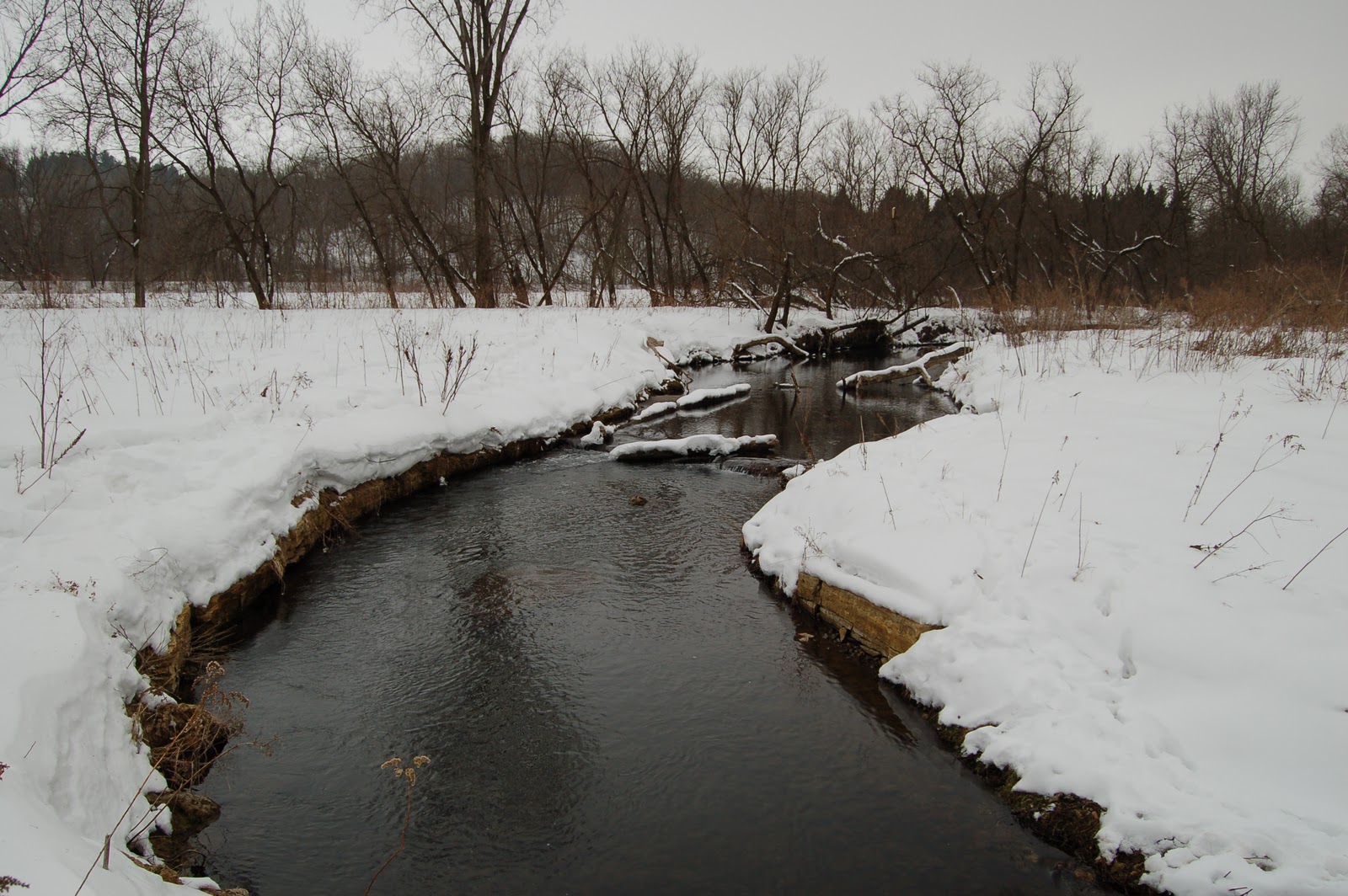 Sticky Ferrule South East Minnesota Winter 2011 Hay Creek