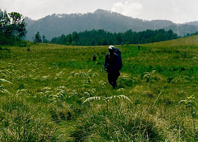 Gunung Argopuro