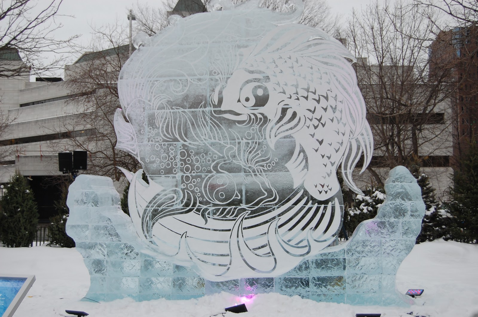 Bal Des Neiges