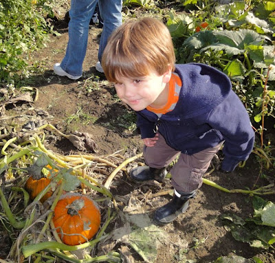 BB picking a pumpkin
