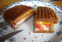 Tuna Panini Melt