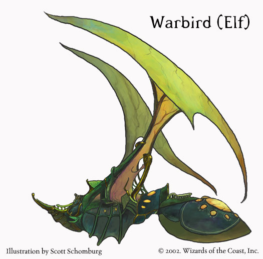 Warbird.jpg