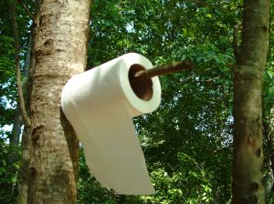 What did people do before toilet paper?