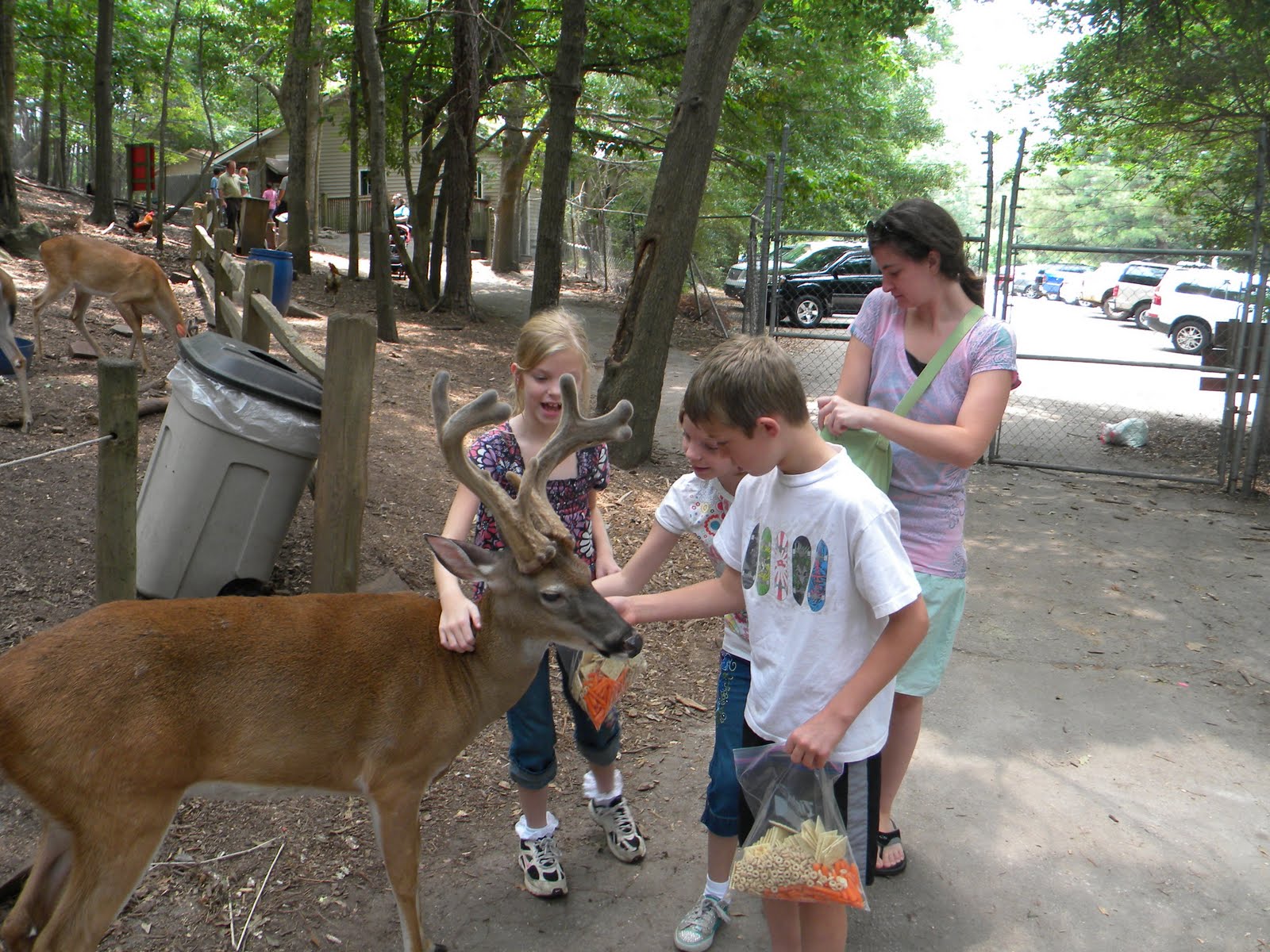 IKE & CO {the blog} Yellow River Game Ranch '10