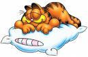 [garf.jpeg]
