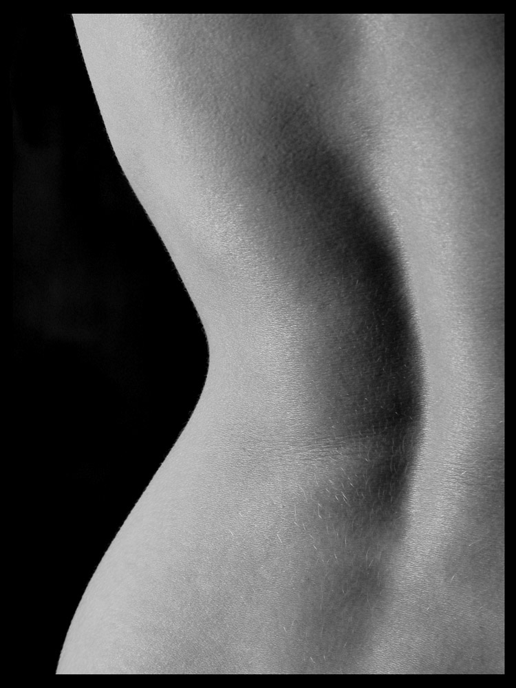 [Body_Curves.jpg]
