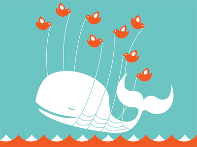 [twitter-whale.png]