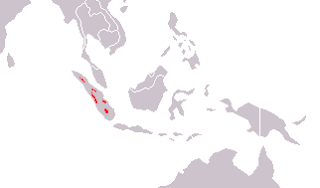 Sumatran tiger range