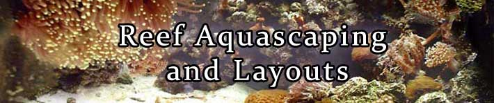 Reef Layouts and Aquascaping