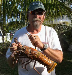 Sea Roaches - I Mean Lobster