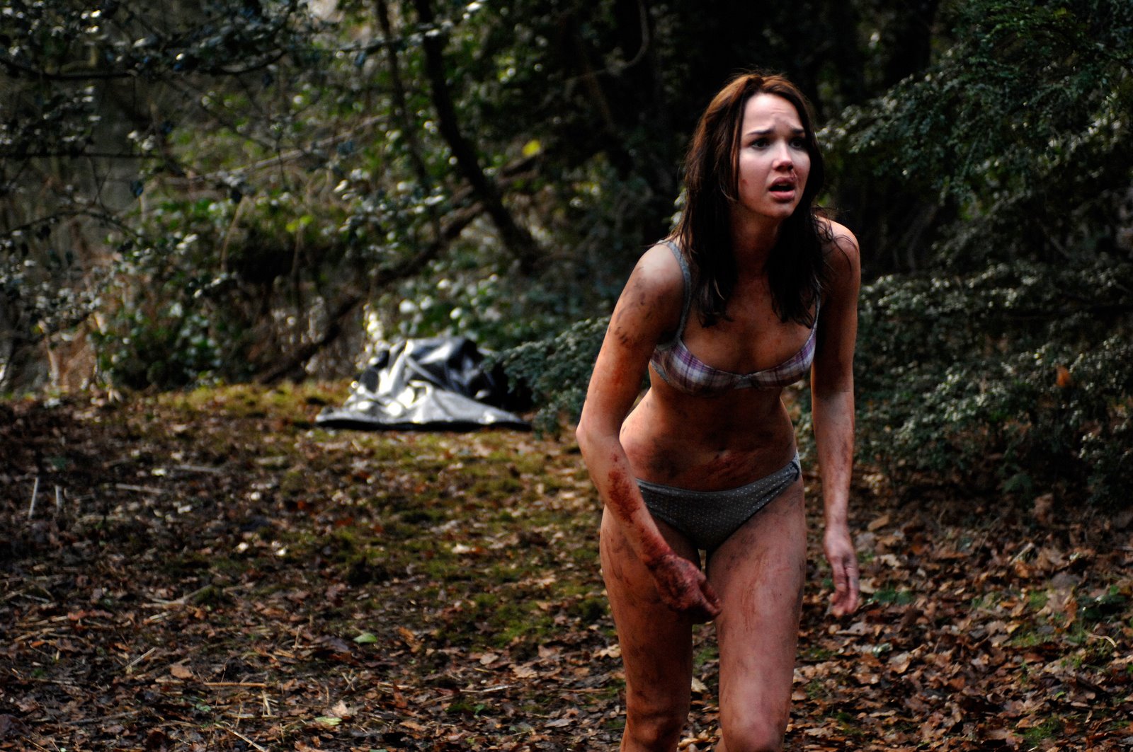 arielle kebbel topless