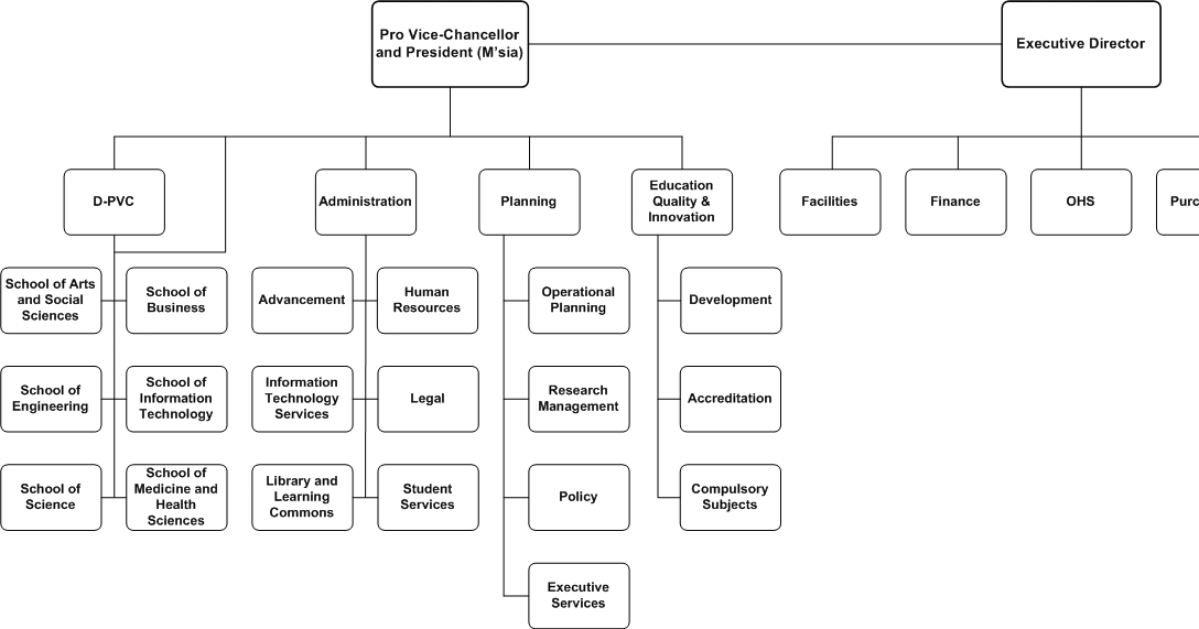 acca what is organizational structure hierarchical organizational structure
