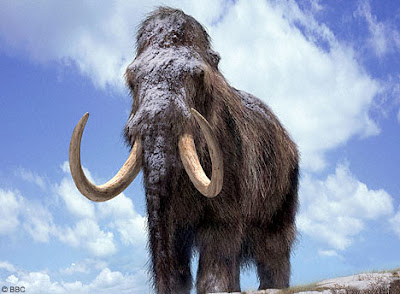 mamut+lanos.jpg