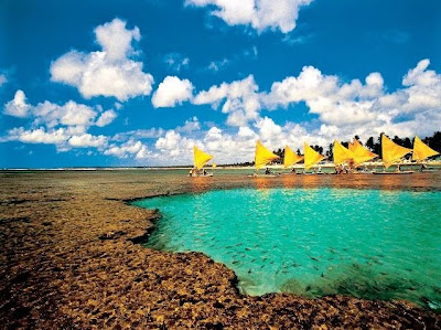 Foto de Porto de Galinhas - Pernambuco Foto de Porto de Galinhas - Pernambuco