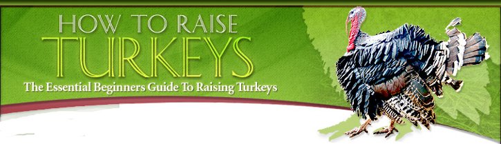 Raising Turkeys and Chickens the easy way
