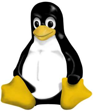 [linuxpenguin.jpg]
