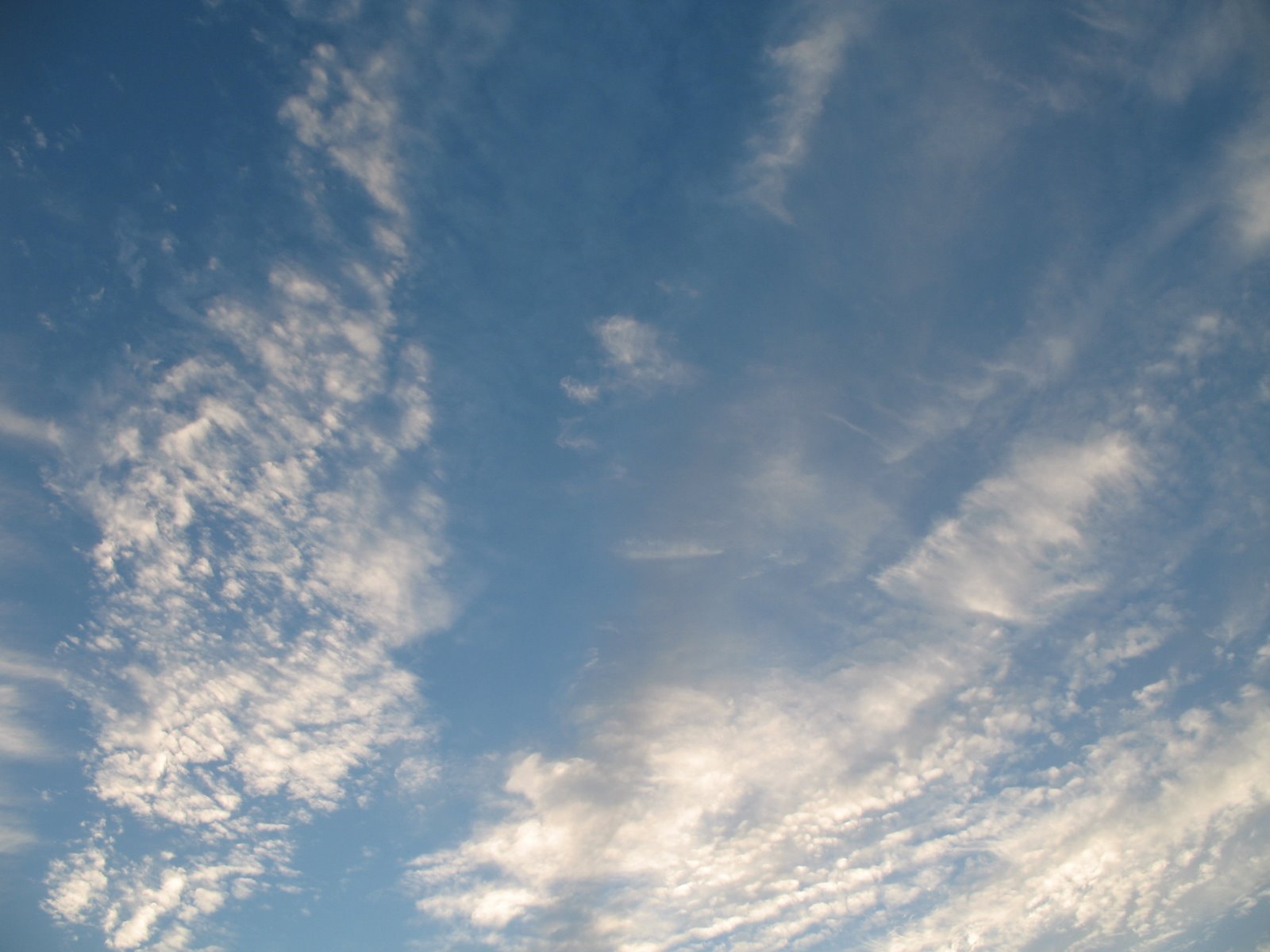 [IMG_4556.JPG]