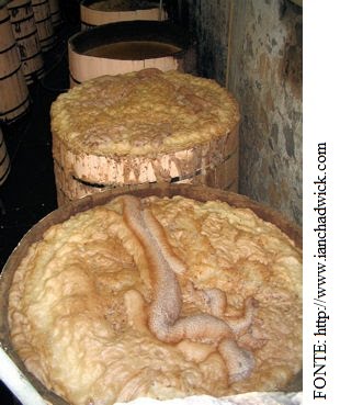 Em uma cara escolhe um lugar do que processar