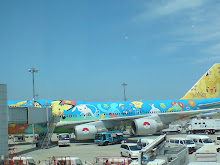 PIKACHU PLANE!