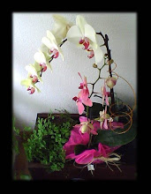 "Orquídeas"