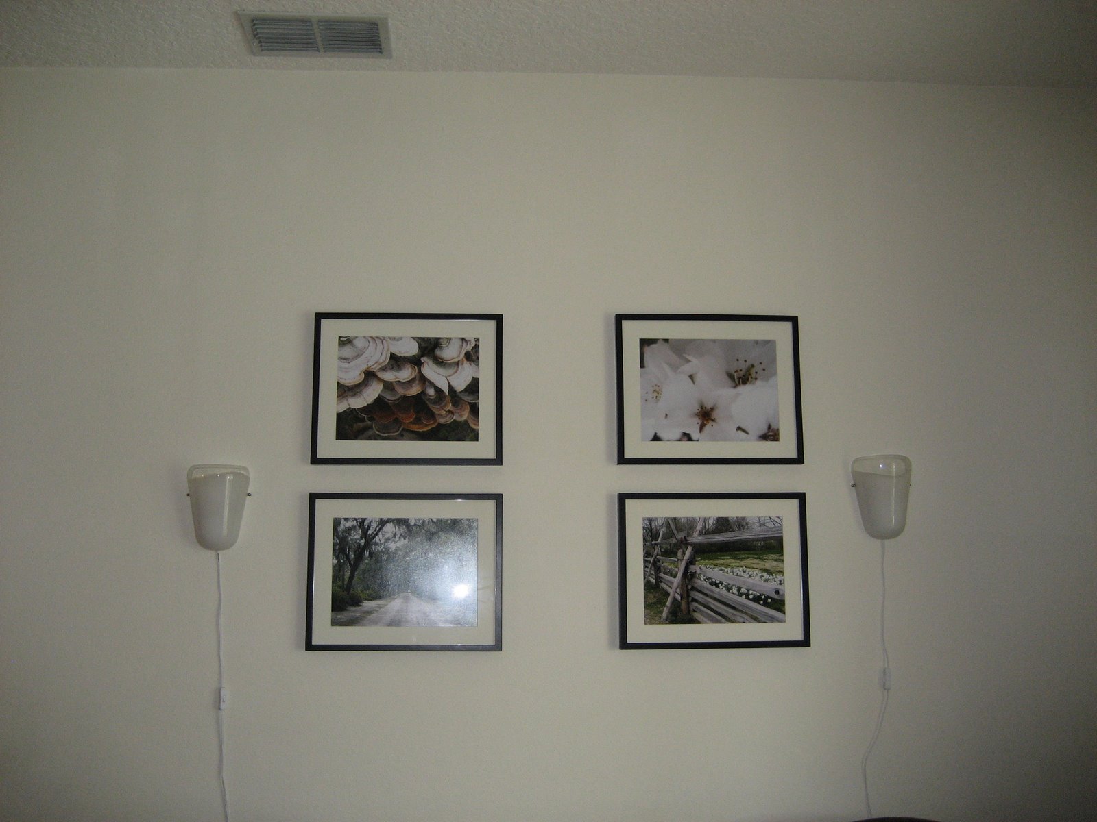 [IMG_4773.JPG]