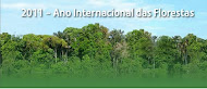 2011 - Ano Internacional das Florestas