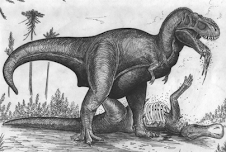 ilustrador y dibujante científico en temáticas de Paleontología