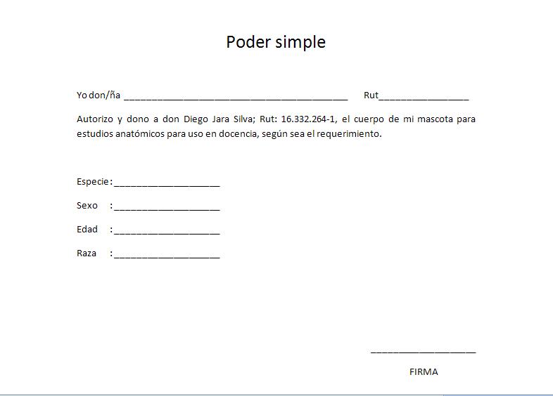 [poder+simple.JPG]