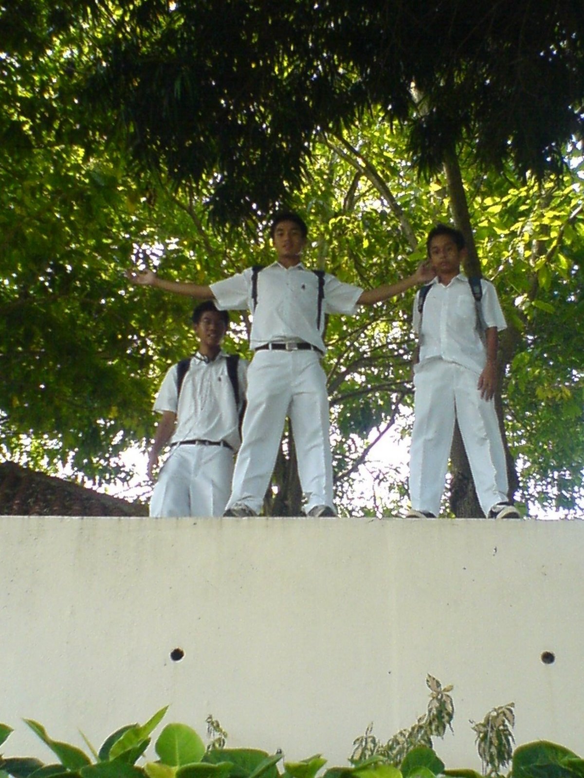 [DSC00117.JPG]