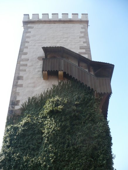[P1180523.JPG]