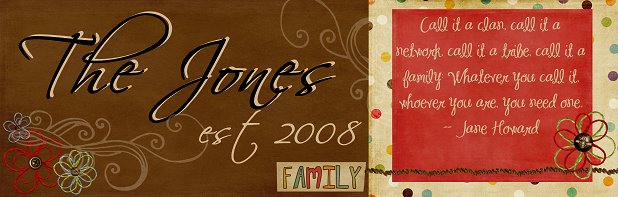 The Jones est. 2008