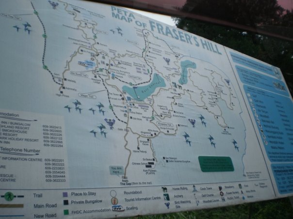 [10234_1210125263313_1534194925_30588152_228515_n.jpg]