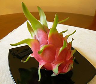 Dragon+fruit+plant+pictures