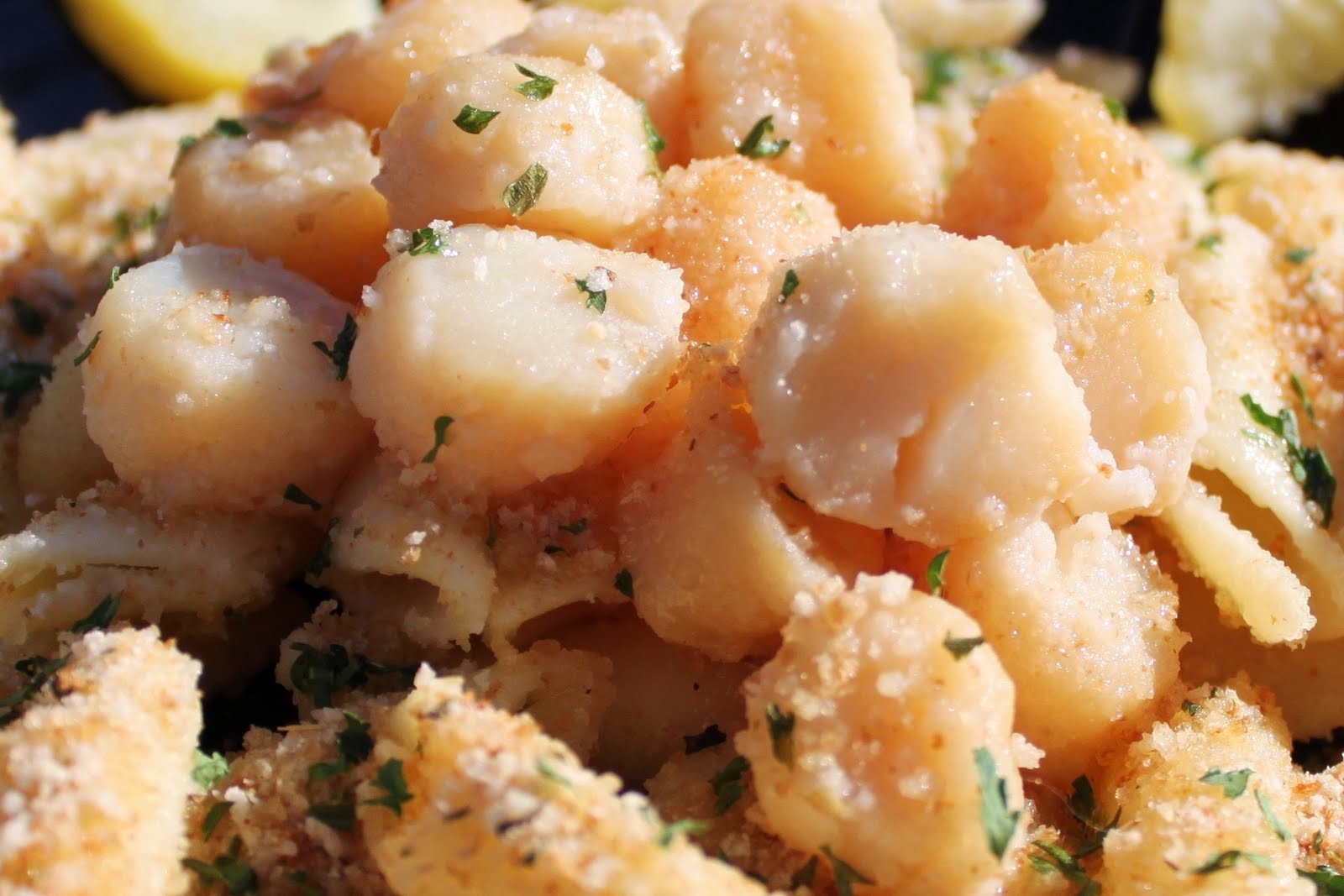 Pasta, Scallops With Italian Bread Crumbs Scampi Style Recipe What's