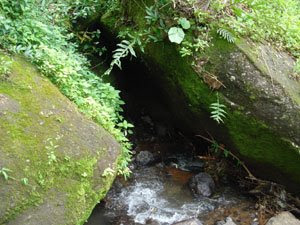 Gua Manik, Jepara (Wisata Jepara)