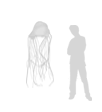 size-box-jellyfish.gif