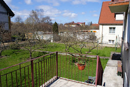 ogród (widok z tarasu)