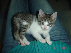 O Romeu