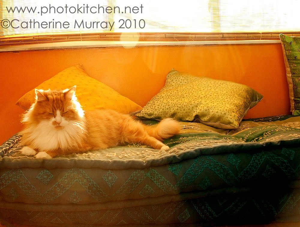 Catherine Murray Photo: Blog