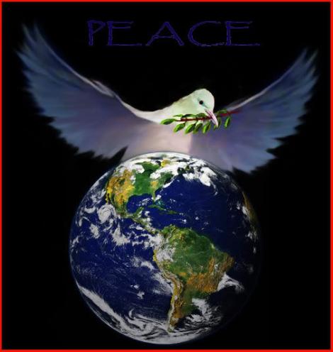 [palomas_de_la_paz_Peace_Dove.jpg]