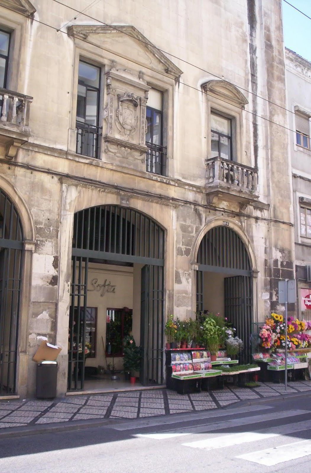 [Imagem+3205.jpg]