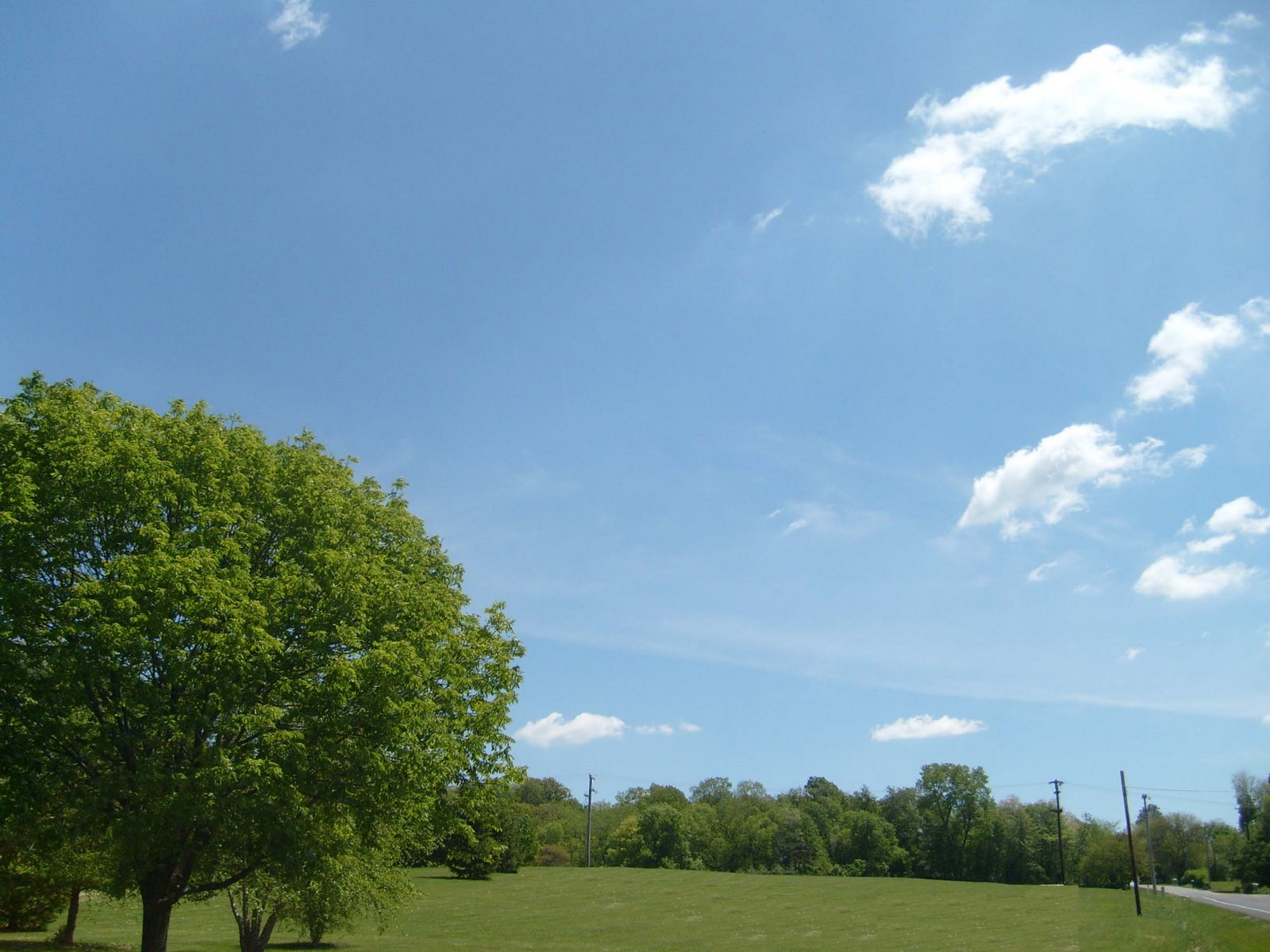 [wide+open+spaces.jpg]