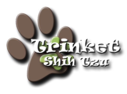 Trinket Shih Tzu