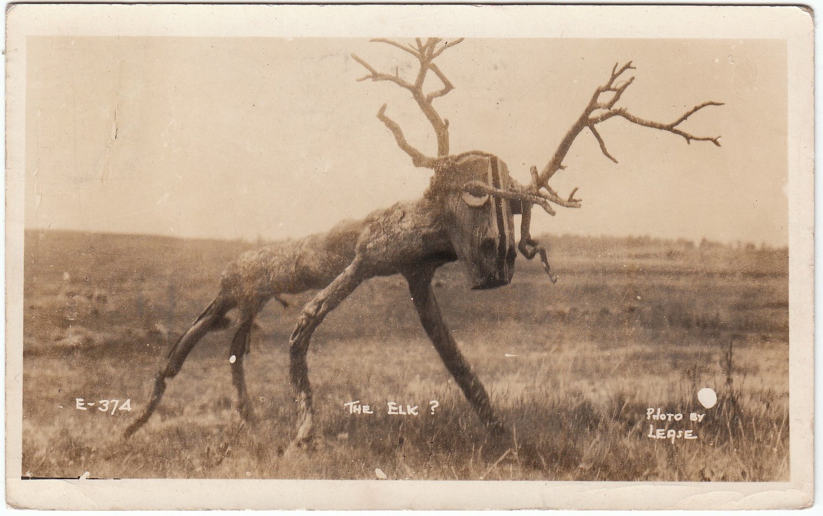 [elkprim.jpg]