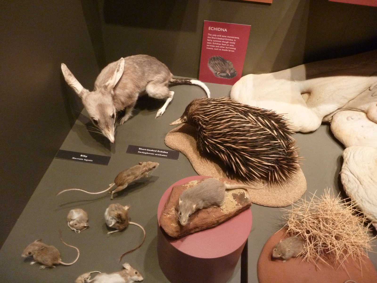 [P1010499.JPG]